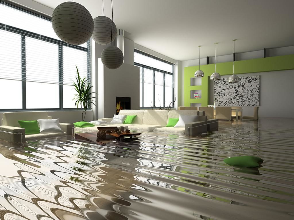 How to Talk to Insurance Adjuster Water Damage