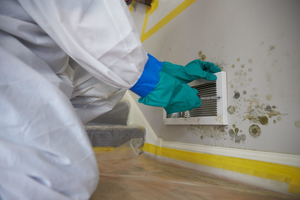 How to Test for Mold-West Palm Beach Mold Remediation & Water Damage Restoration Services-We offer home restoration services, water damage restoration, mold removal & remediation, water removal, fire and smoke damage services, fire damage restoration, mold remediation inspection, and more.