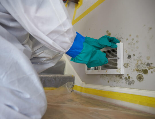 How to Test for Mold-West Palm Beach Mold Remediation & Water Damage Restoration Services-We offer home restoration services, water damage restoration, mold removal & remediation, water removal, fire and smoke damage services, fire damage restoration, mold remediation inspection, and more.