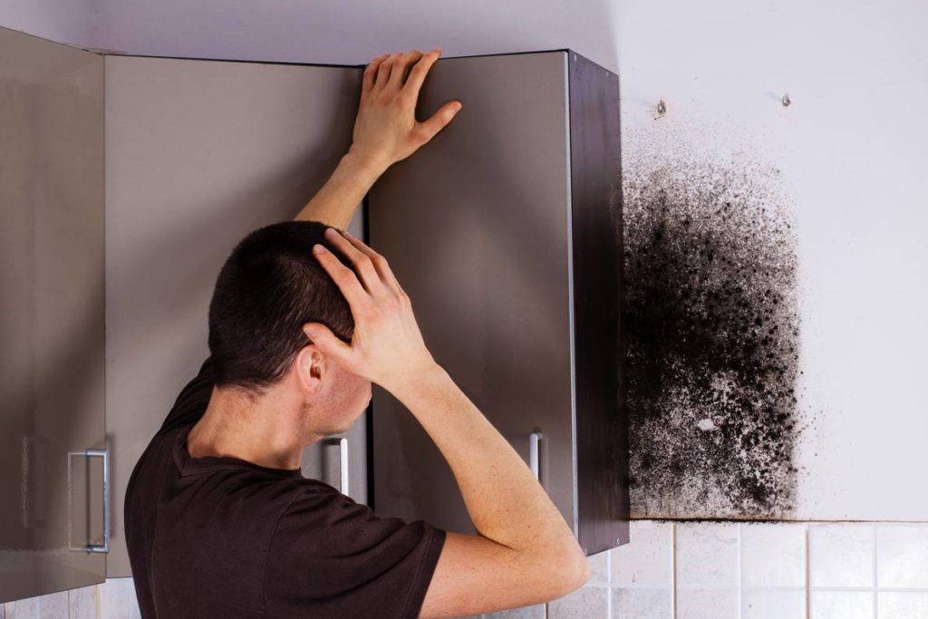 Mold Inspection Services-West Palm Beach Mold Remediation & Water Damage Restoration Services-We offer home restoration services, water damage restoration, mold removal & remediation, water removal, fire and smoke damage services, fire damage restoration, mold remediation inspection, and more.