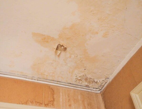 Water Damage Ceiling new-West Palm Beach Mold Remediation & Water Damage Restoration Services-We offer home restoration services, water damage restoration, mold removal & remediation, water removal, fire and smoke damage services, fire damage restoration, mold remediation inspection, and more.