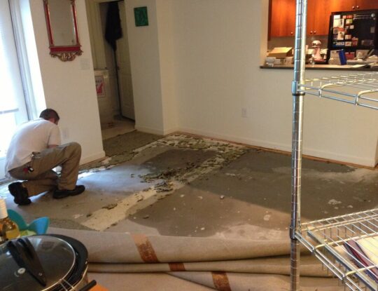 Water Damage Clean Up-West Palm Beach Mold Remediation & Water Damage Restoration Services-We offer home restoration services, water damage restoration, mold removal & remediation, water removal, fire and smoke damage services, fire damage restoration, mold remediation inspection, and more.